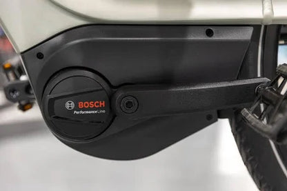 Gazelle Avignon C380 HMB 2024 – Komfort trifft auf Innovation