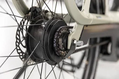 Gazelle Avignon C380 HMB 2024 – Komfort trifft auf Innovation