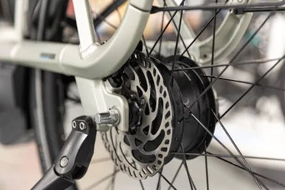 Gazelle Avignon C380 HMB 2024 – Komfort trifft auf Innovation